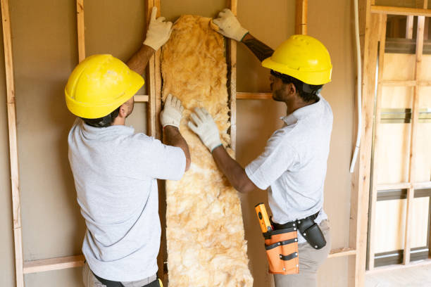 Best Wall Insulation Contractor  in Town N Country, FL