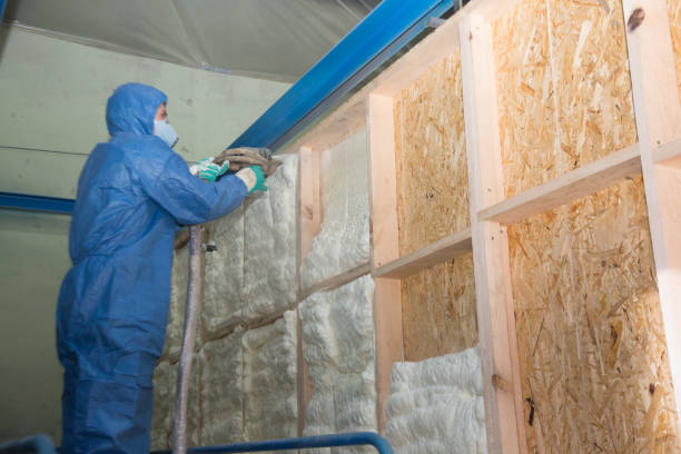 Attic Insulation Near Me in Town N Country, FL